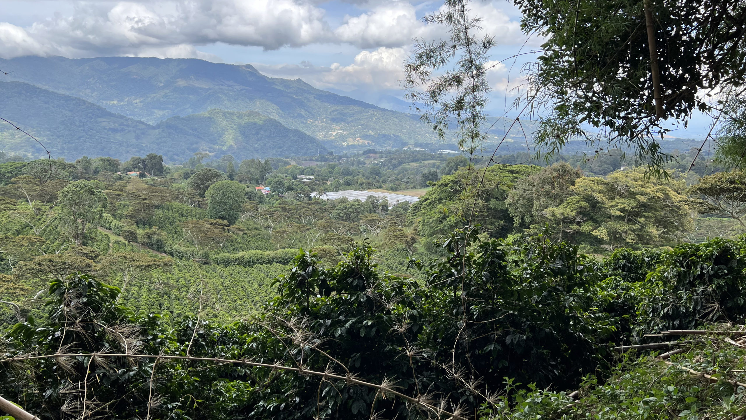 Exploring Bocas del Toro and Boquete: Island Hopping and Jungle Trekking